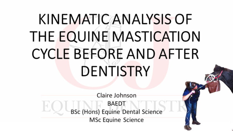Kinematic study of the mastication cycle