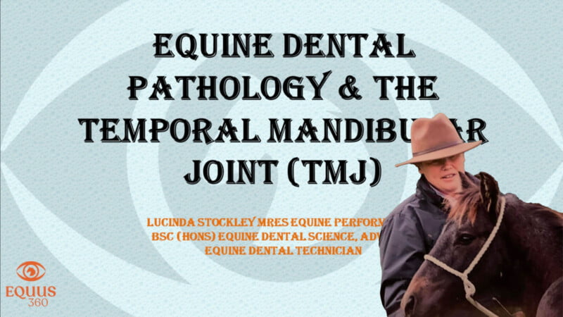 Dental pathology and it's association with the Temporal Mandibular Joint