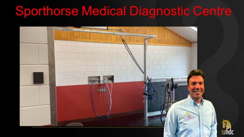 Imaging techniques of the head