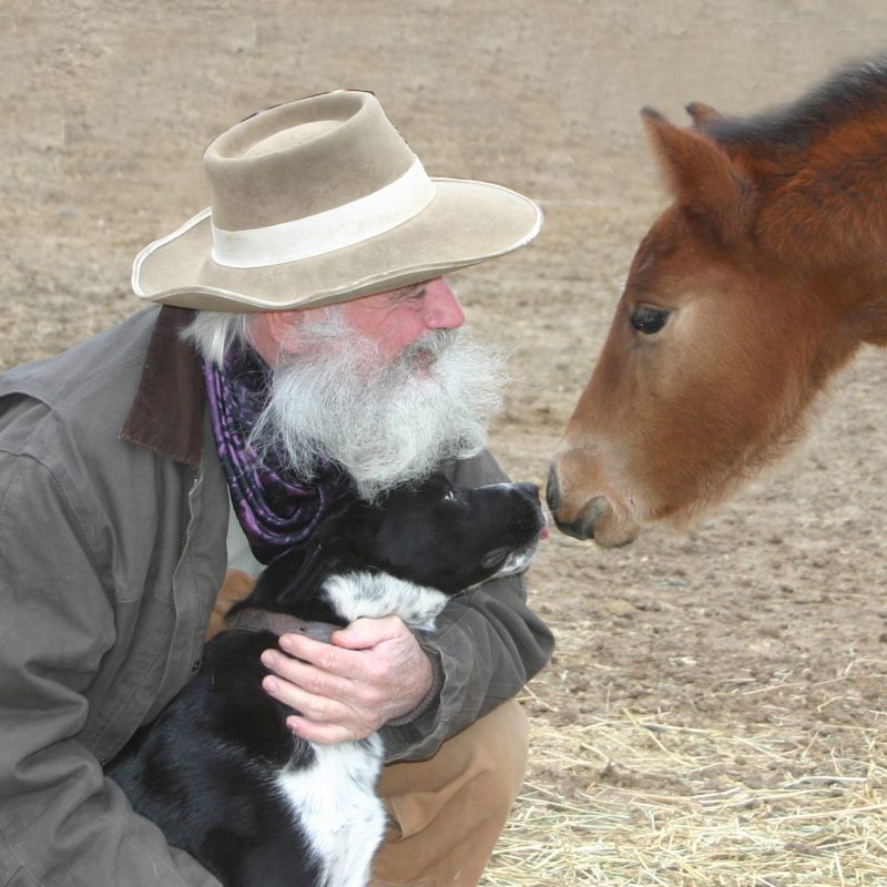 Dale Jeffrey with his dog and a horse